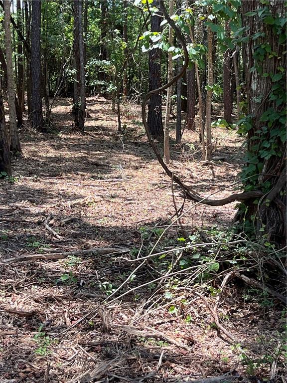10-acres 10-acres Chess Gerald Road Franklinton, LA 70438 - Photo 13 of 19