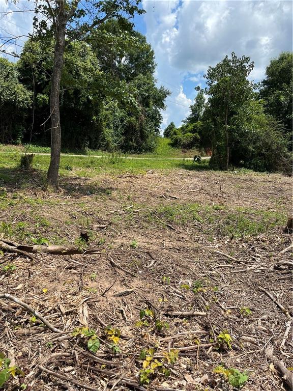 10-acres 10-acres Chess Gerald Road Franklinton, LA 70438 - Photo 14 of 19