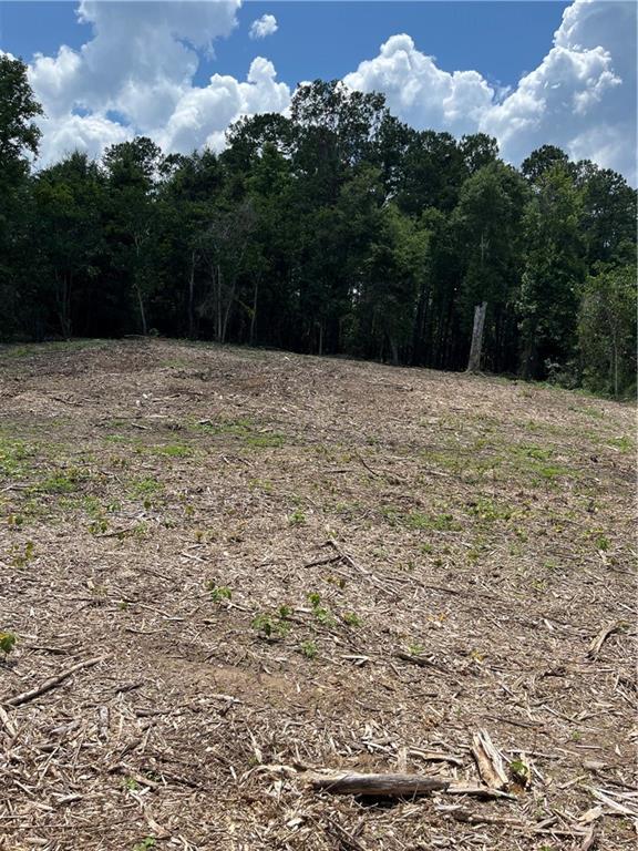 10-acres 10-acres Chess Gerald Road Franklinton, LA 70438 - Photo 15 of 19