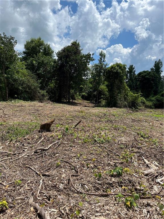 10-acres 10-acres Chess Gerald Road Franklinton, LA 70438 - Photo 16 of 19