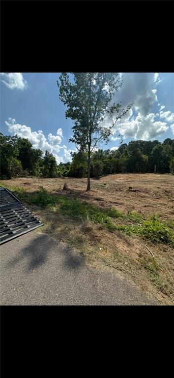 10-acres 10-acres Chess Gerald Road Franklinton, LA 70438 - Photo 18 of 19