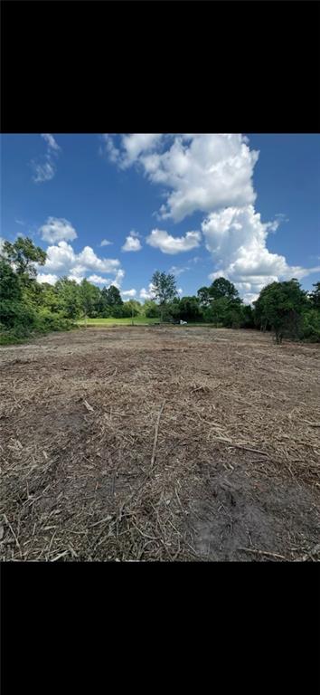 10-acres 10-acres Chess Gerald Road Franklinton, LA 70438 - Photo 19 of 19