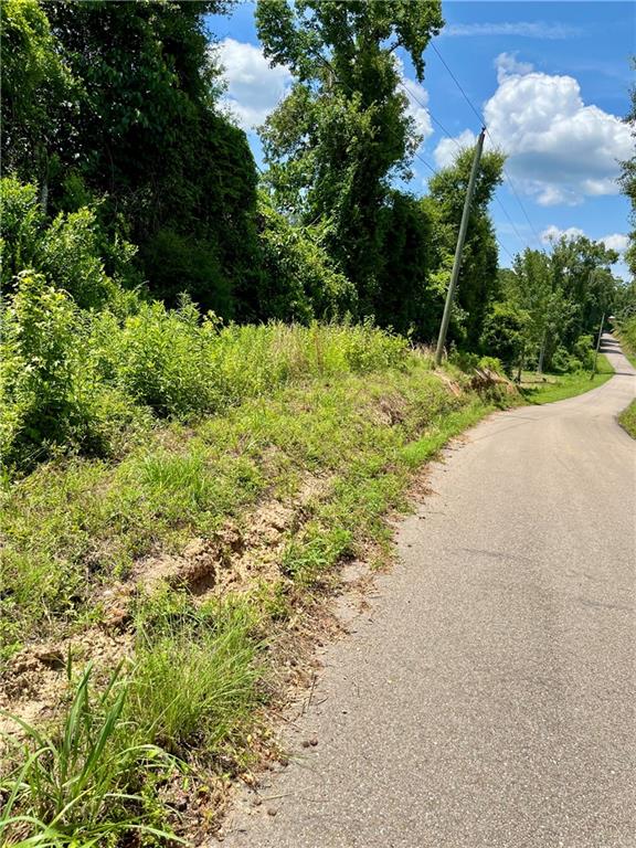 10-acres 10-acres Chess Gerald Road Franklinton, LA 70438 - Photo 2 of 19