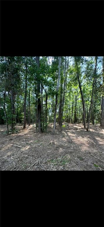 10-acres 10-acres Chess Gerald Road Franklinton, LA 70438 - Photo 3 of 19