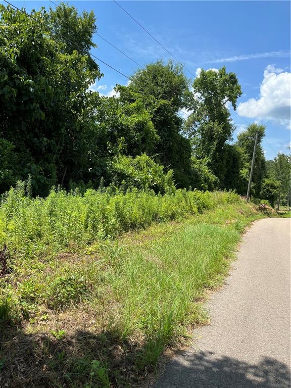 10-acres 10-acres Chess Gerald Road Franklinton, LA 70438 - Photo 4 of 19