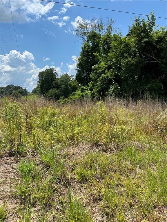 10-acres 10-acres Chess Gerald Road Franklinton, LA 70438 - Photo 5 of 19