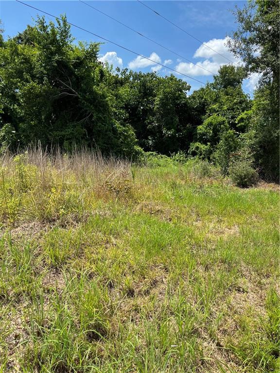 10-acres 10-acres Chess Gerald Road Franklinton, LA 70438 - Photo 6 of 19