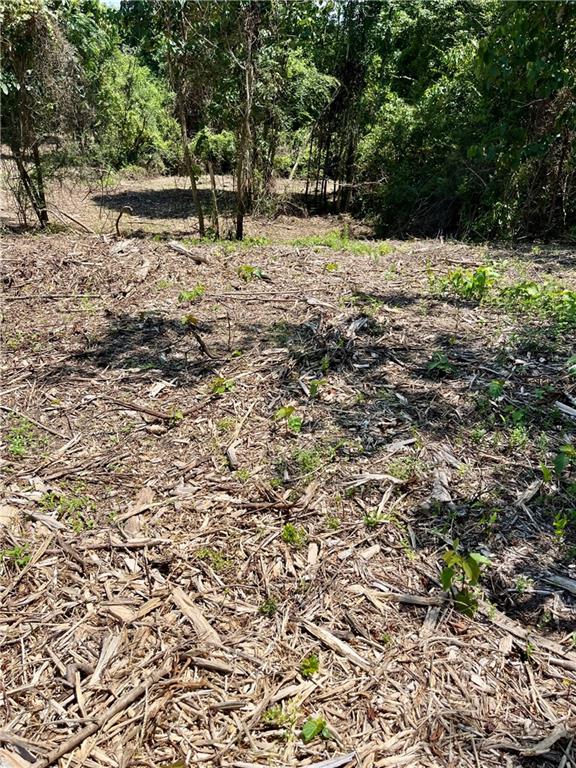 10-acres 10-acres Chess Gerald Road Franklinton, LA 70438 - Photo 7 of 19