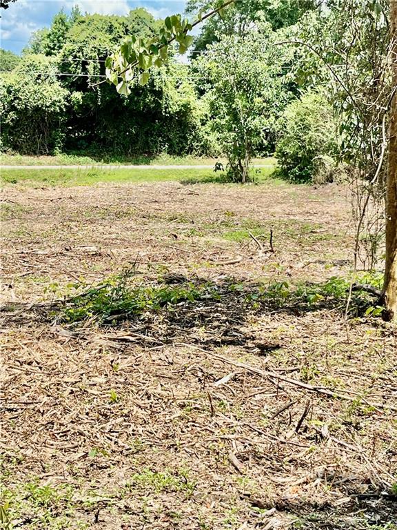 10-acres 10-acres Chess Gerald Road Franklinton, LA 70438 - Photo 8 of 19