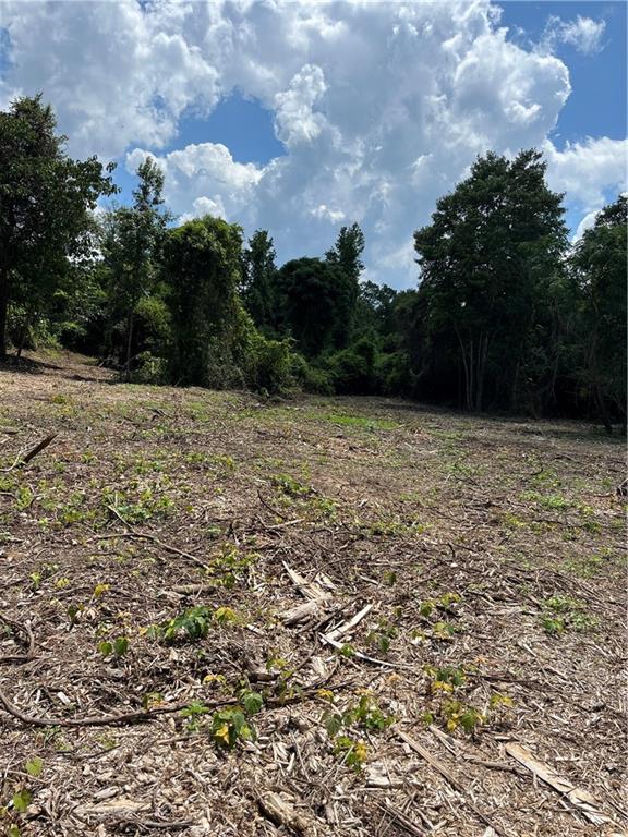 10-acres 10-acres Chess Gerald Road Franklinton, LA 70438 - Photo 10 of 19