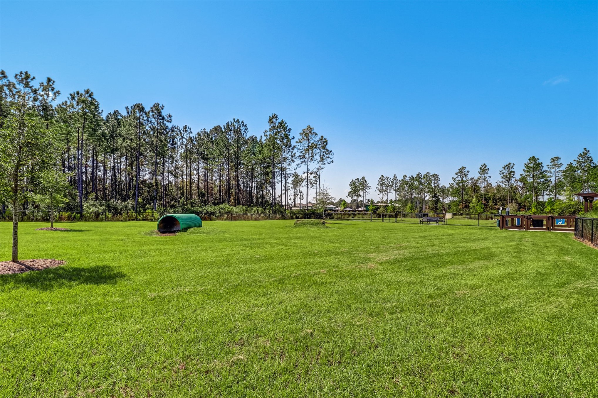 75203 White Rabbit Avenue Yulee, FL 32097 - Photo 56 of 75