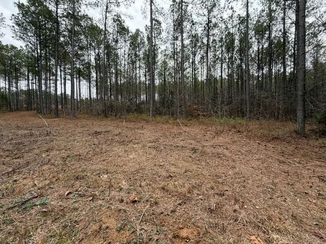 a view of outdoor space with wooden fence