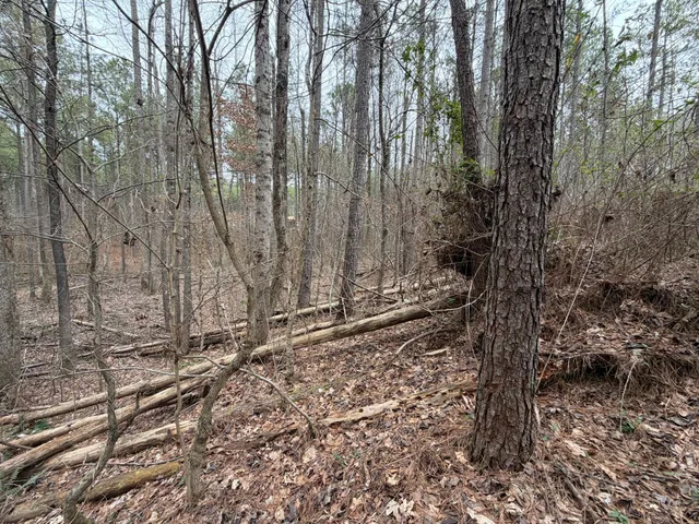 a yard with trees in the background