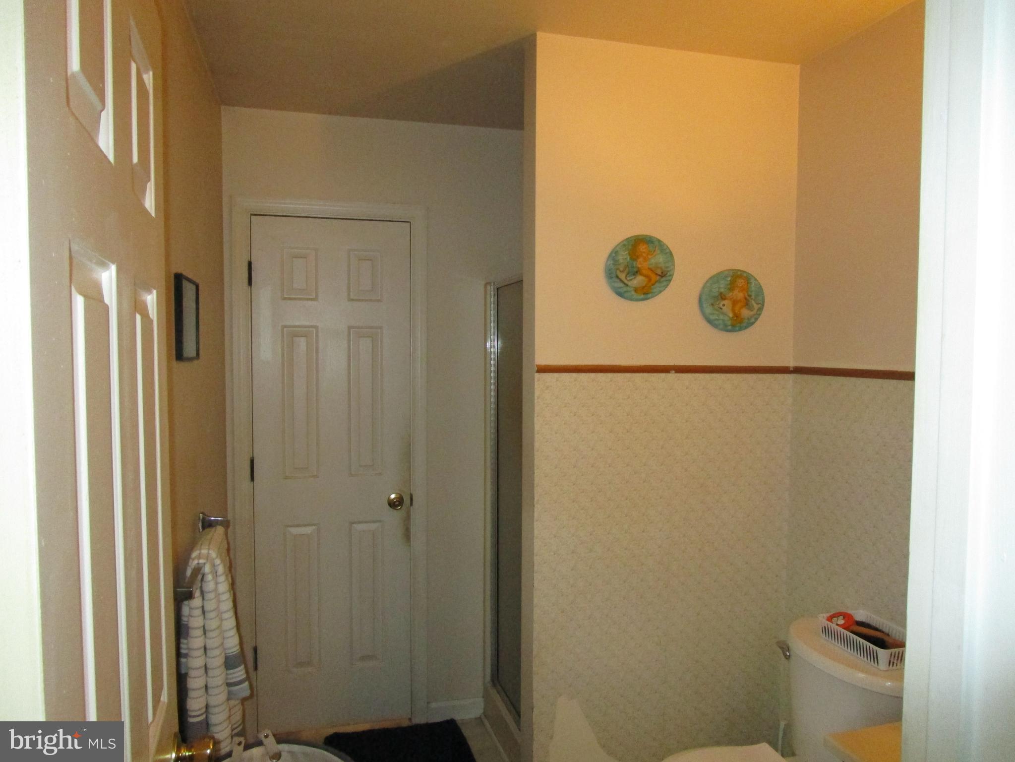 181 Evergreen Road Magnolia, DE 19962 - Photo 21 of 40 Primary Bathroom w/ Stall Shower