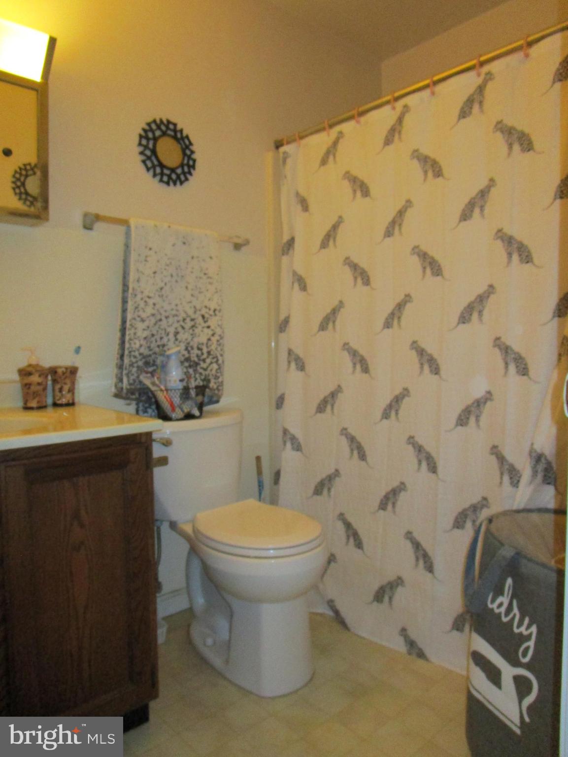 181 Evergreen Road Magnolia, DE 19962 - Photo 27 of 40 Hallway Bathroom