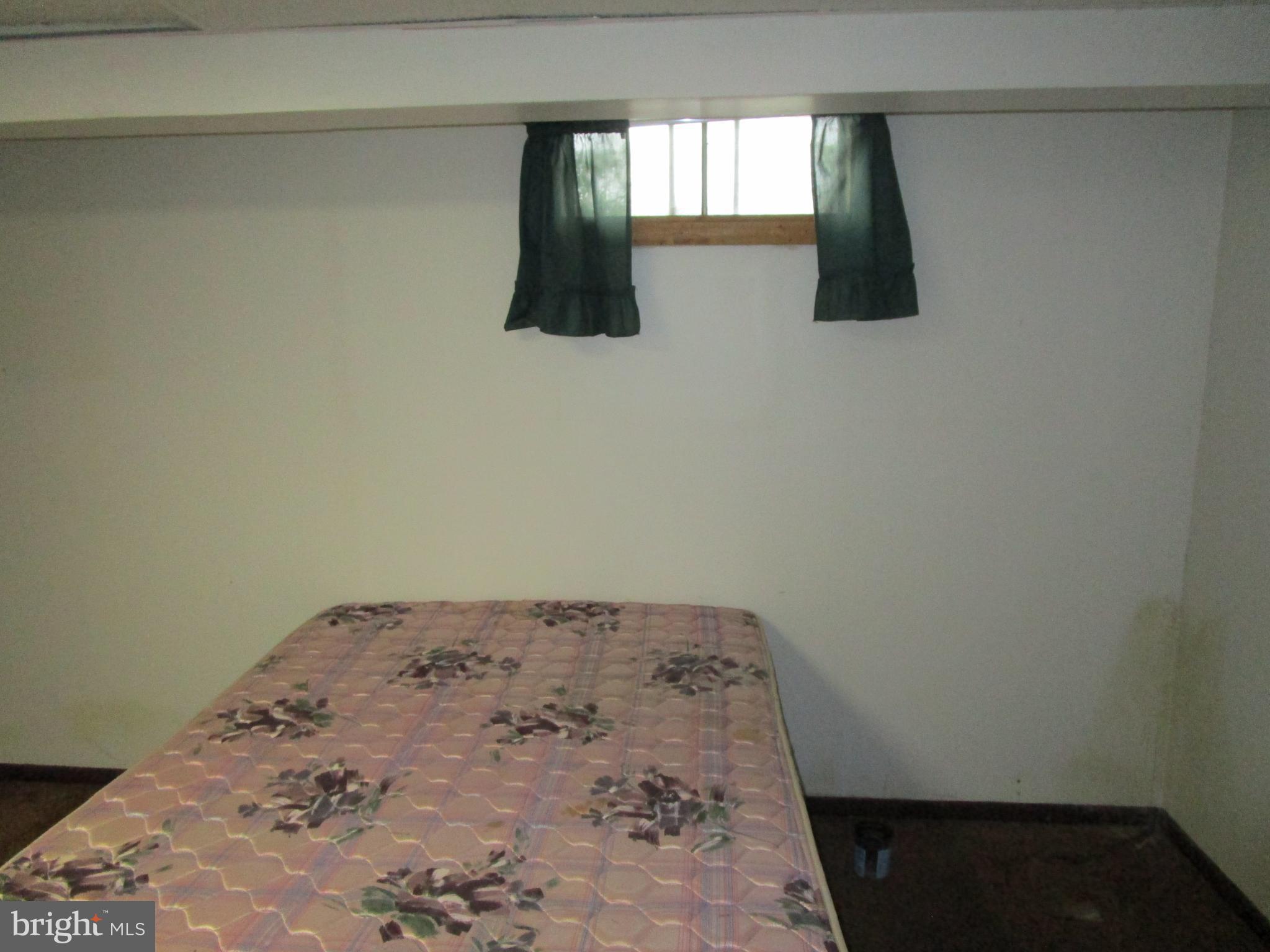 181 Evergreen Road Magnolia, DE 19962 - Photo 36 of 40 Basement Flex Room #3