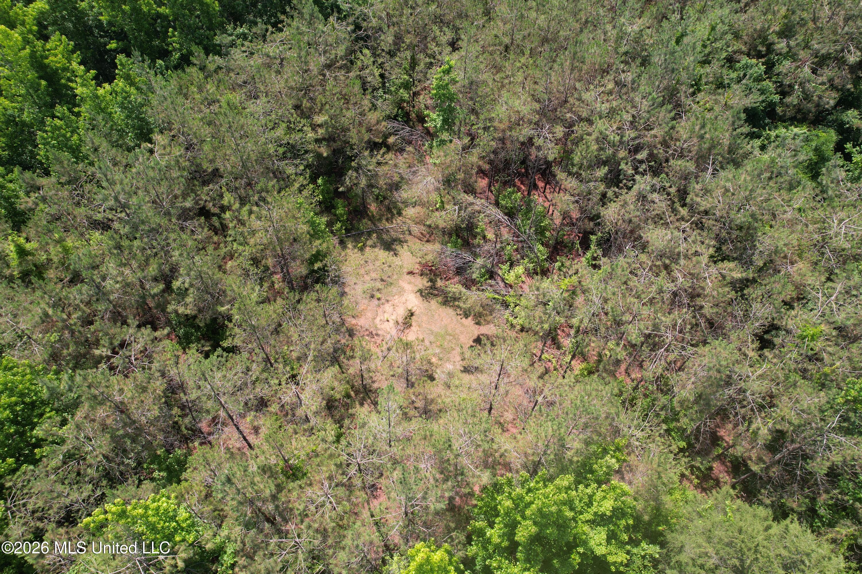 DJI_0318