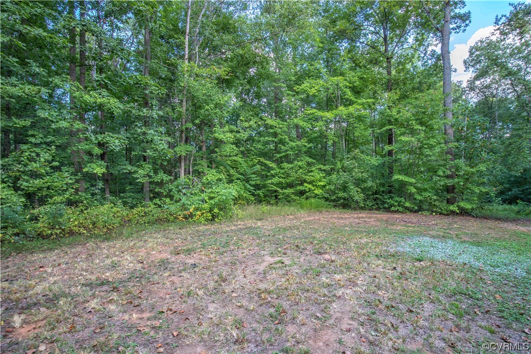 10516 Cross County Road Mineral, VA 23117 - Photo 24 of 31 Gallery Image 24