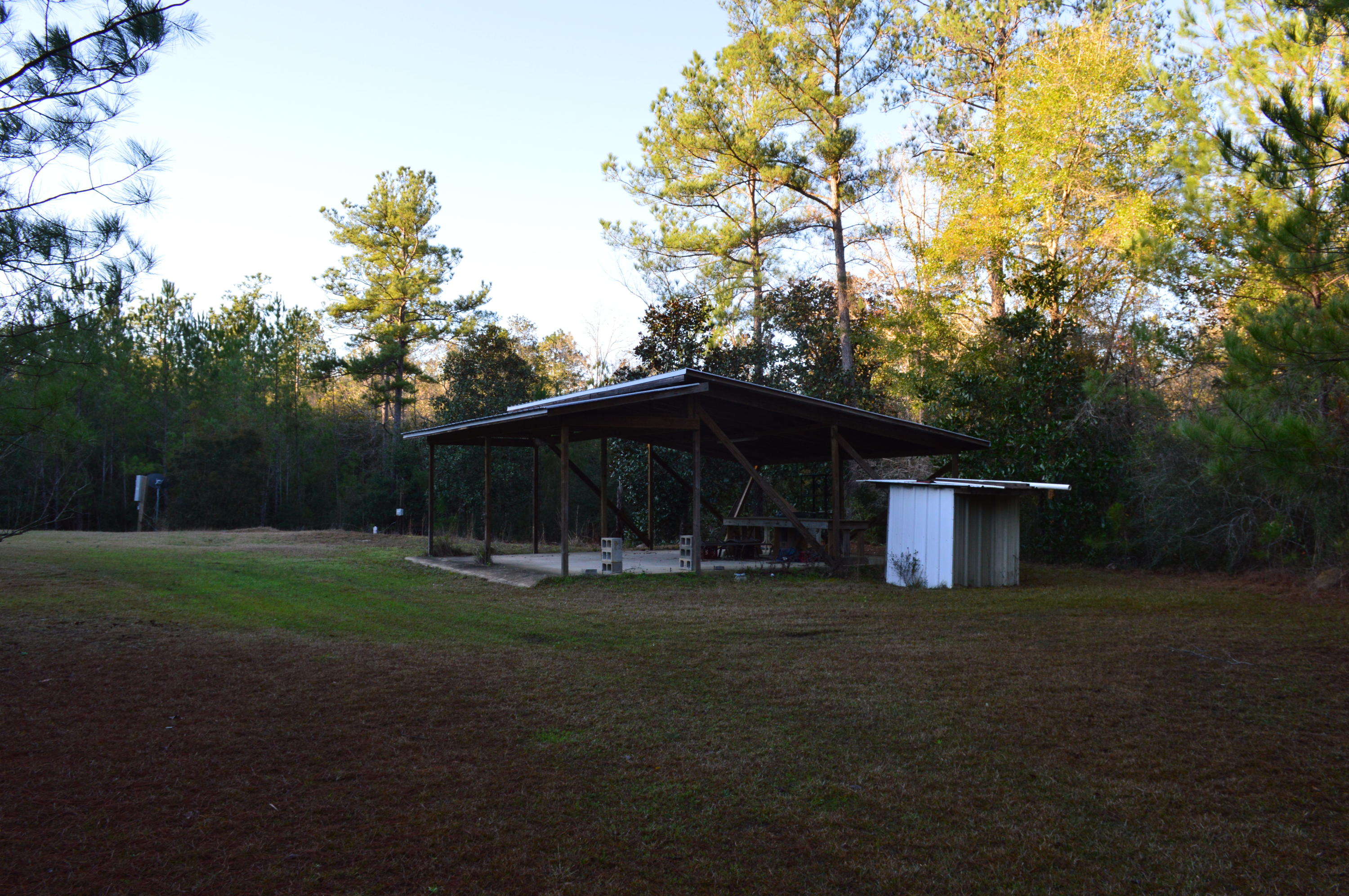 2499 Laird Road Crestview, FL 32539 - Photo 13 of 22 a backyard of a house with lots of green space