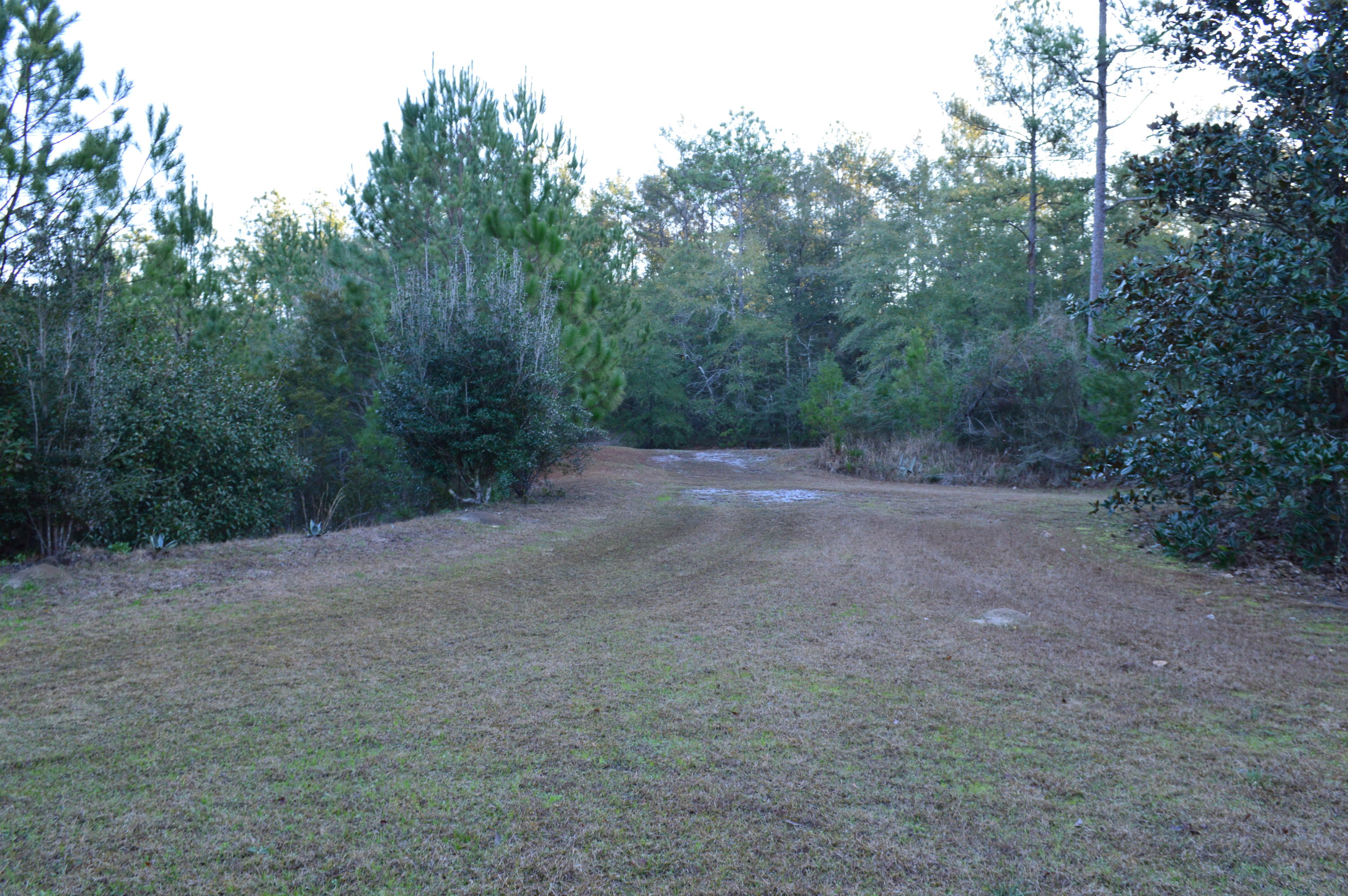 2499 Laird Road Crestview, FL 32539 - Photo 17 of 22 a view of a dirt road with trees in the background