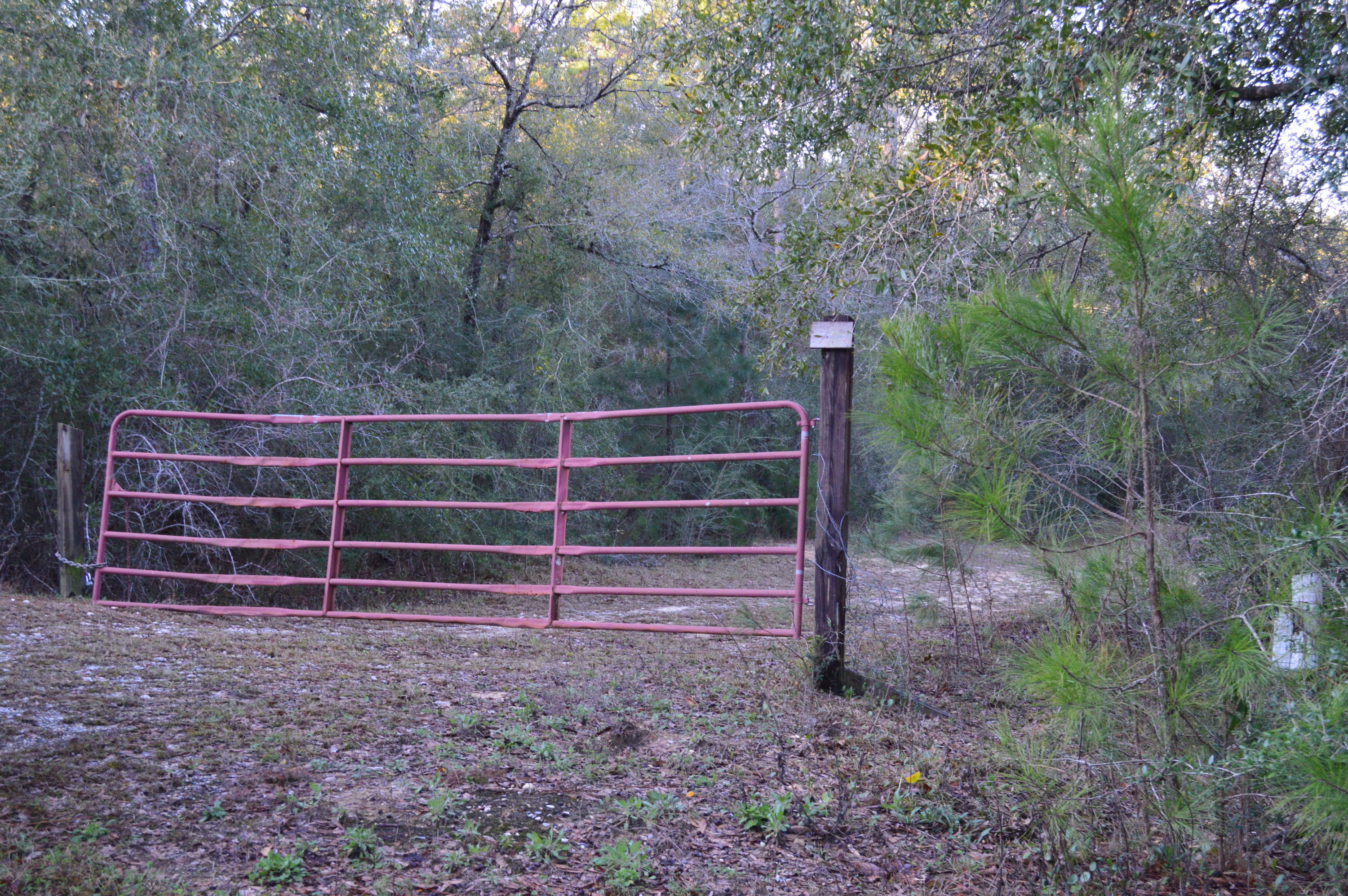 2499 Laird Road Crestview, FL 32539 - Photo 4 of 22 a view of a wooden fence and trees