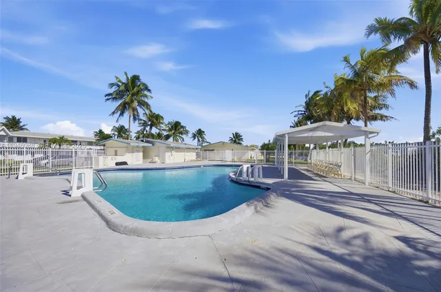 a view of a backyard with palm trees
