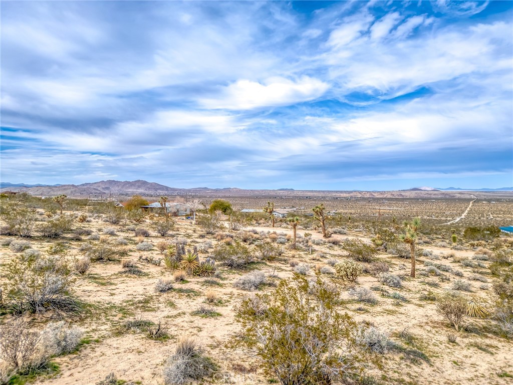 130-rd Hollinger Road Joshua Tree, CA 92252 - Photo 16 of 41