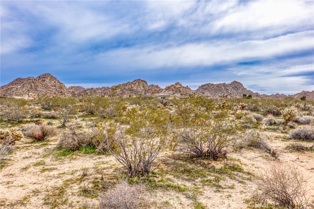 130-rd Hollinger Road Joshua Tree, CA 92252 - Photo 6 of 41