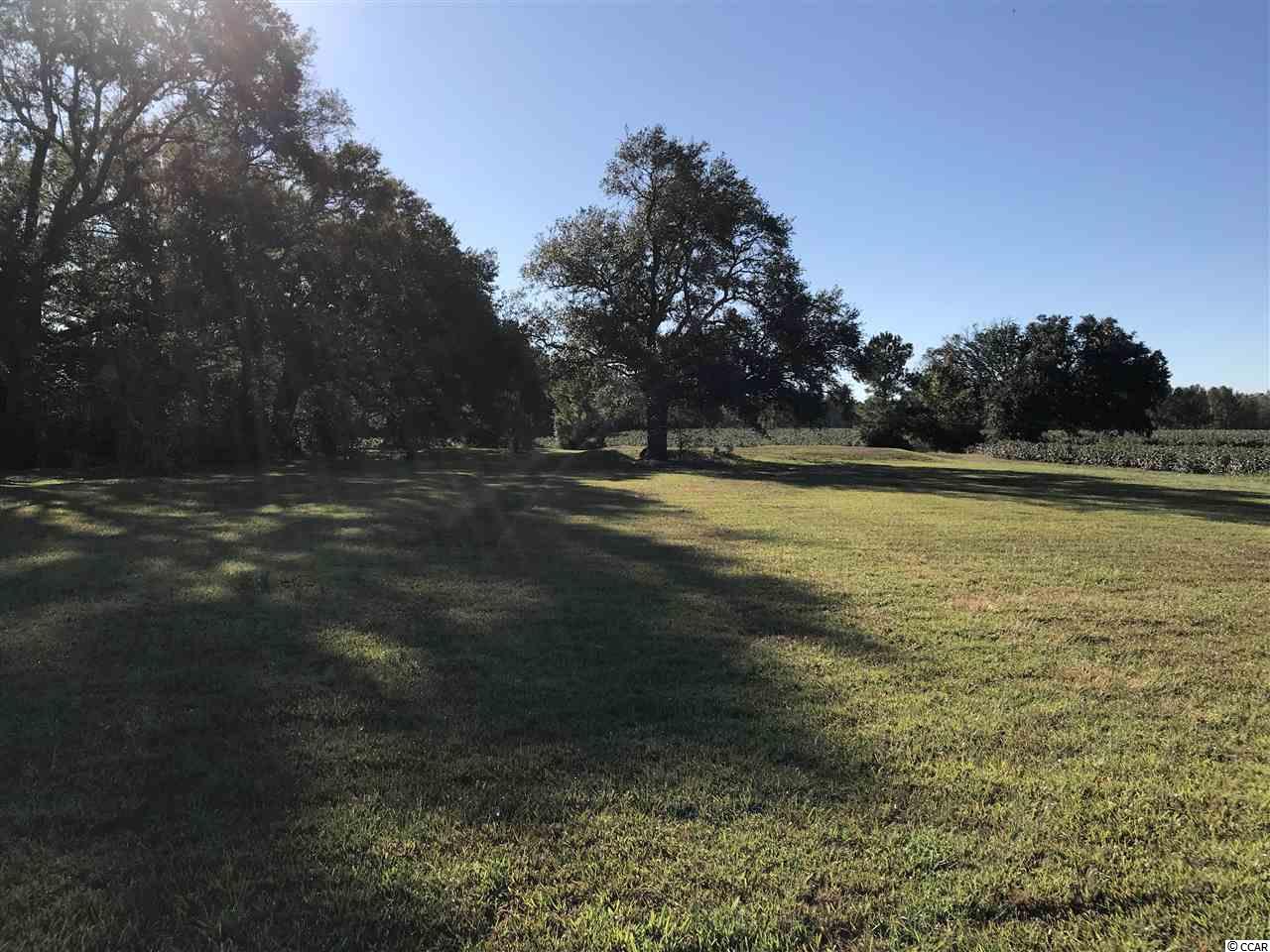 1400 Four Mile Road Conway, SC 29526 - Photo 1 of 7 Gallery Image 1