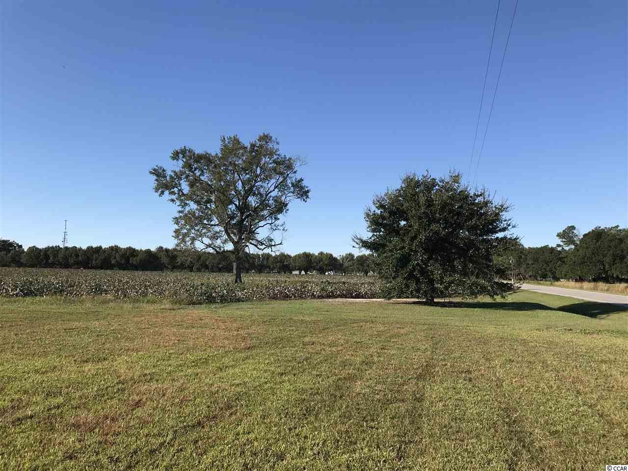 1400 Four Mile Road Conway, SC 29526 - Photo 2 of 7 Gallery Image 2