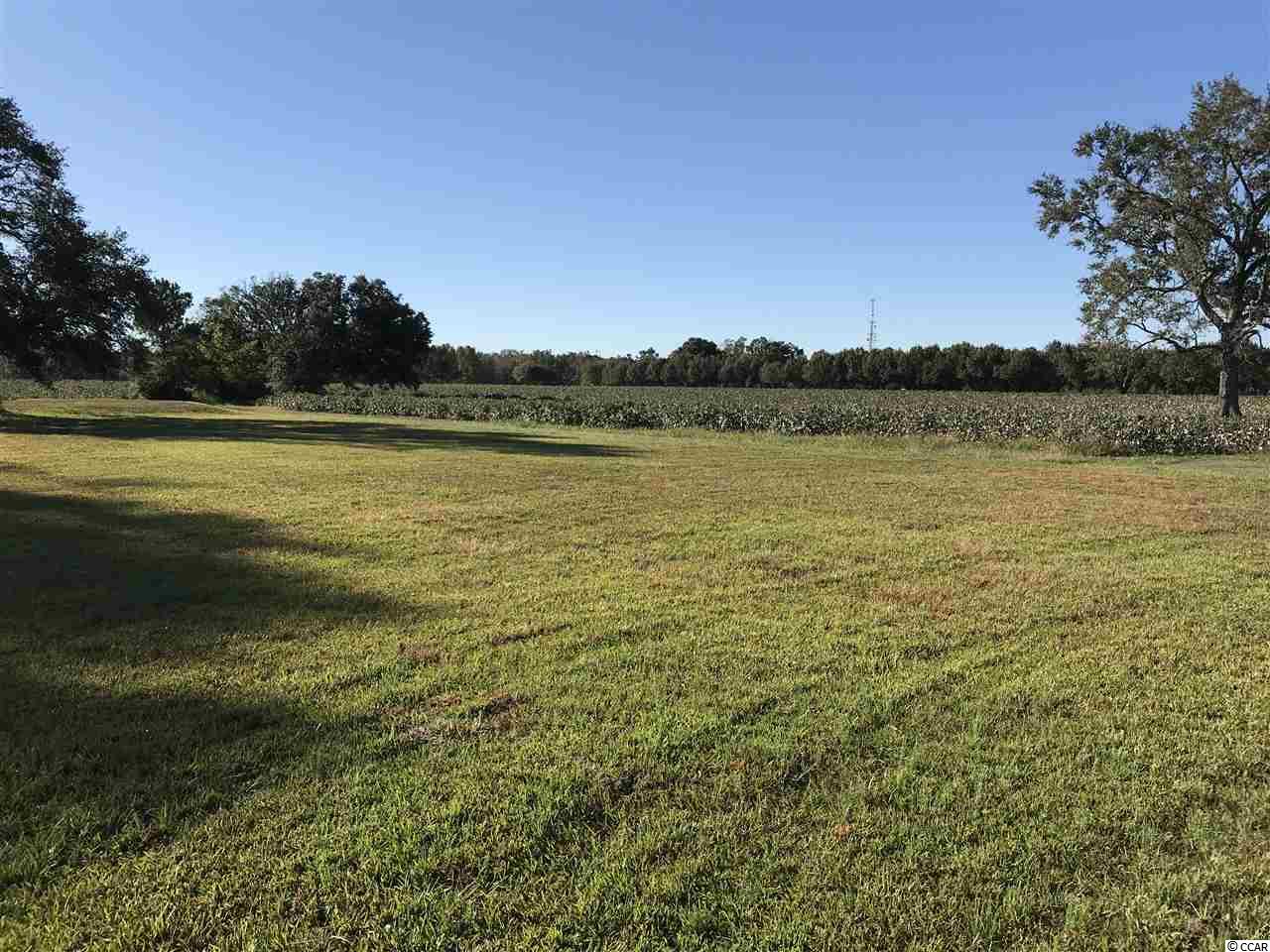 1400 Four Mile Road Conway, SC 29526 - Photo 3 of 7 Gallery Image 3