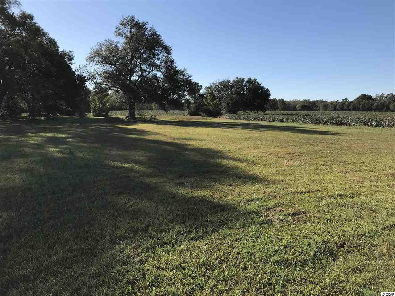 1400 Four Mile Road Conway, SC 29526 - Photo 4 of 7 Gallery Image 4