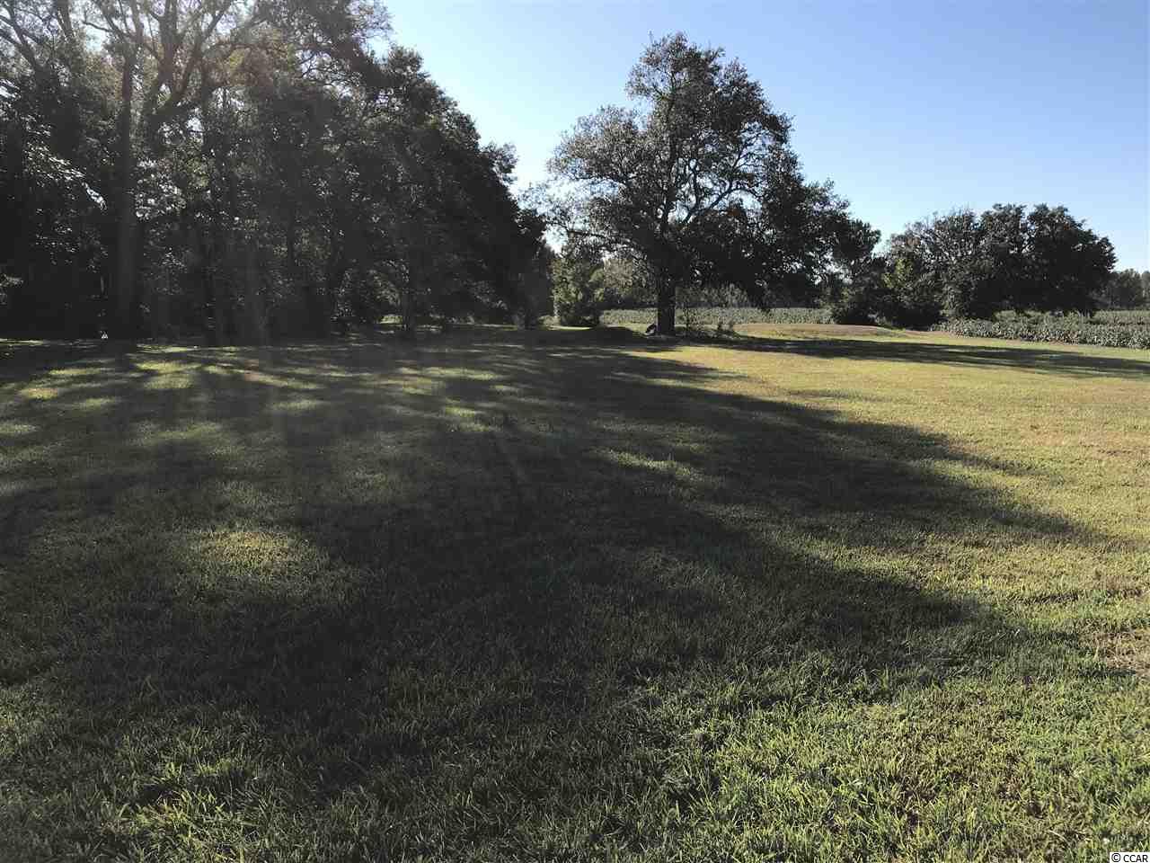 1400 Four Mile Road Conway, SC 29526 - Photo 5 of 7 Gallery Image 5