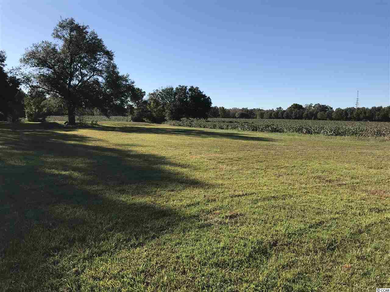 1400 Four Mile Road Conway, SC 29526 - Photo 7 of 7 Gallery Image 7