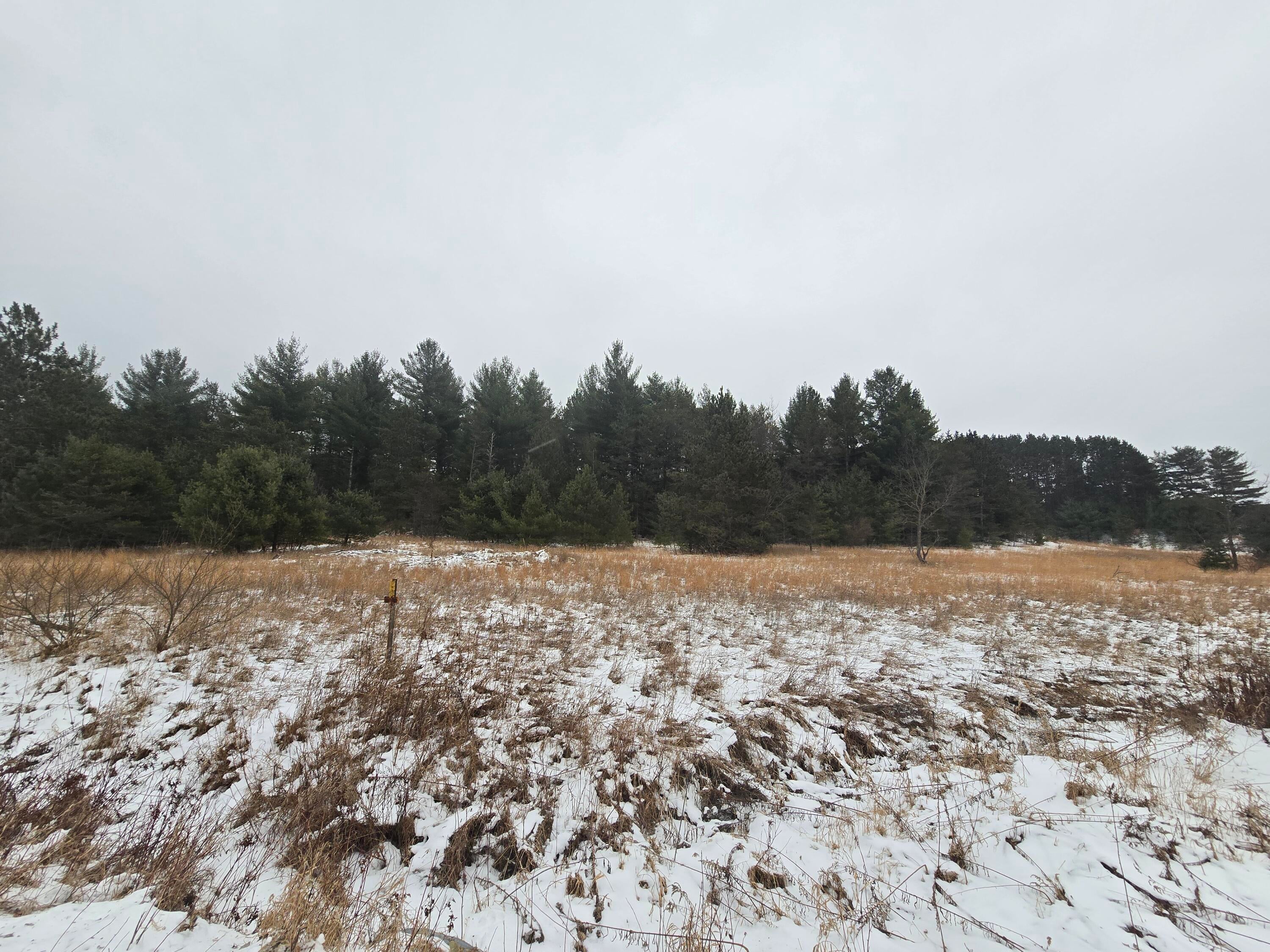 Gorton Road Luzerne, MI 48636 - Photo 8 of 14