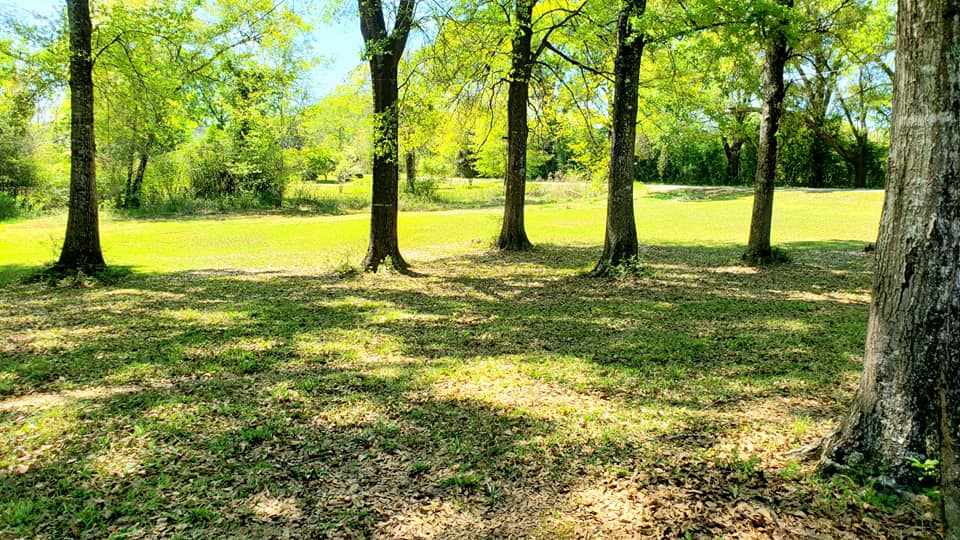 45960 Old Carney Road Bay Minette, AL 36507 - Photo 15 of 16