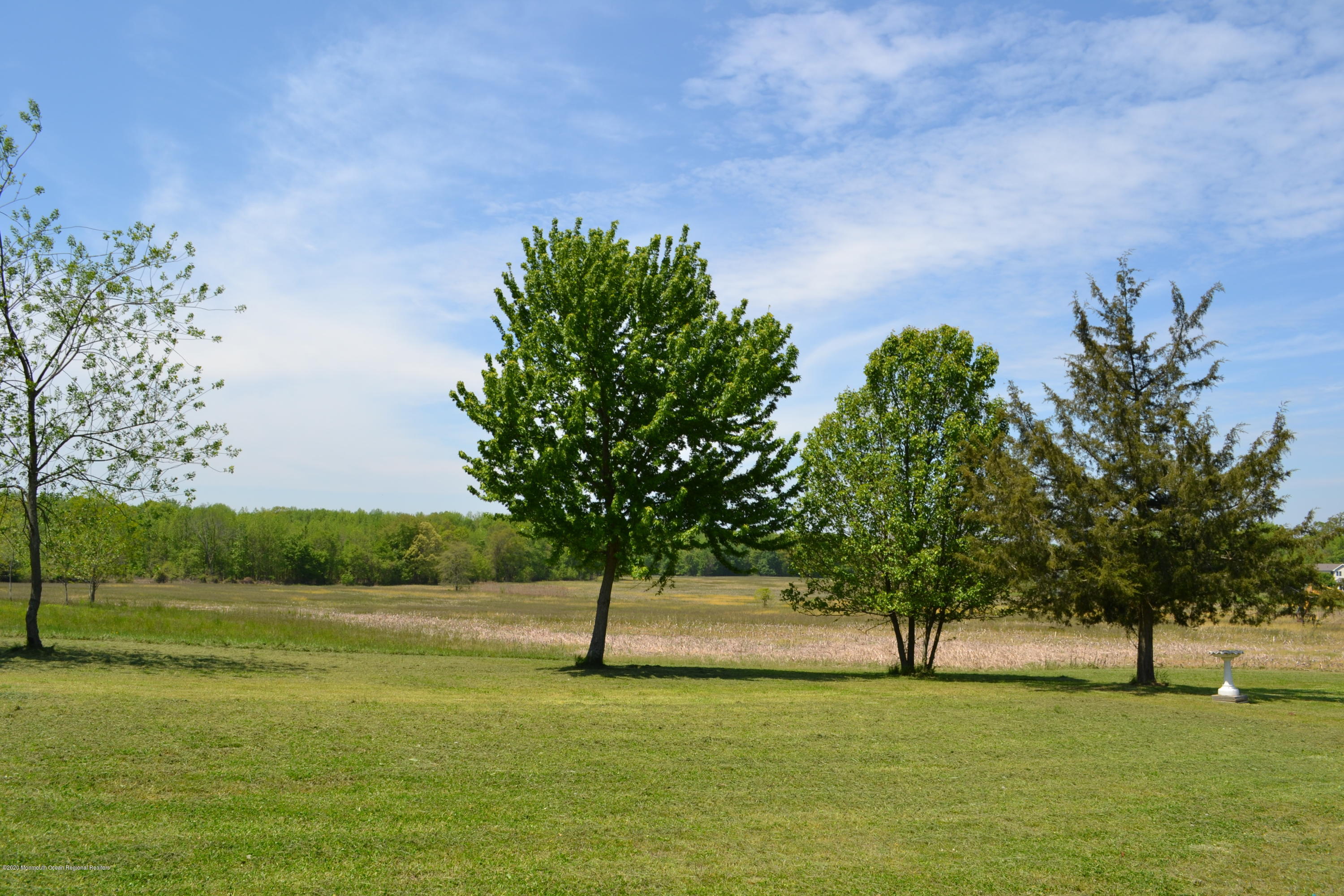 1167 Hedding Road Columbus, NJ 08022 - Photo 15 of 16 a view of a garden with a tree