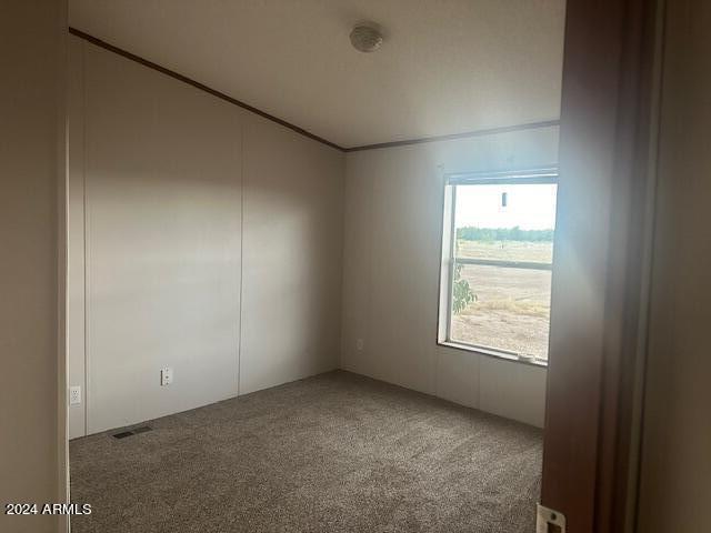 4256 West Gleeson Road Elfrida, AZ 85610 - Photo 13 of 17 GUEST 2