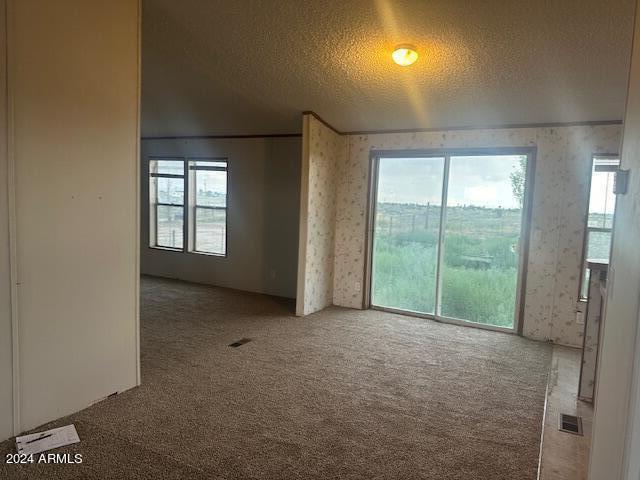 4256 West Gleeson Road Elfrida, AZ 85610 - Photo 5 of 17 LIVINGROOM