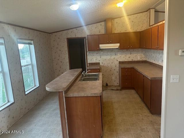 4256 West Gleeson Road Elfrida, AZ 85610 - Photo 8 of 17 KITCHEN