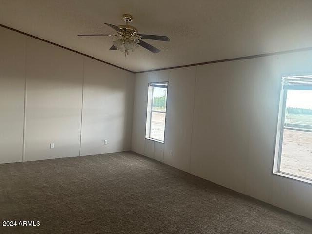 4256 West Gleeson Road Elfrida, AZ 85610 - Photo 9 of 17 MASTER