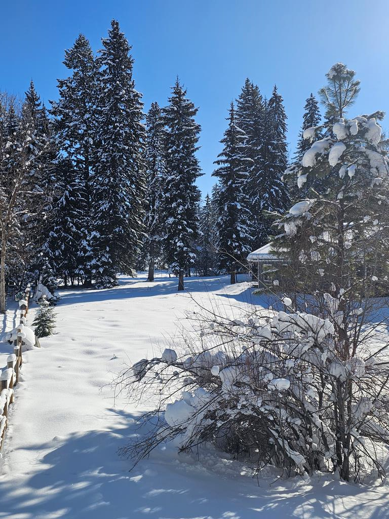 Tbd Divot Lane, Unit 4 McCall, ID 83638 - Photo 13 of 18
