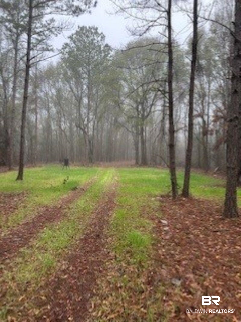0 West Eastward Road Jackson, AL 36545 - Photo 1 of 2 View of dirt / gravel road
