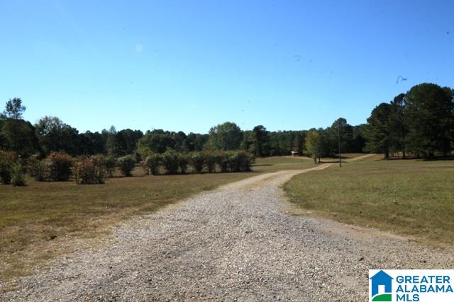 0 County Road 928, Unit 19 Delta, AL 36258 - Photo 13 of 43