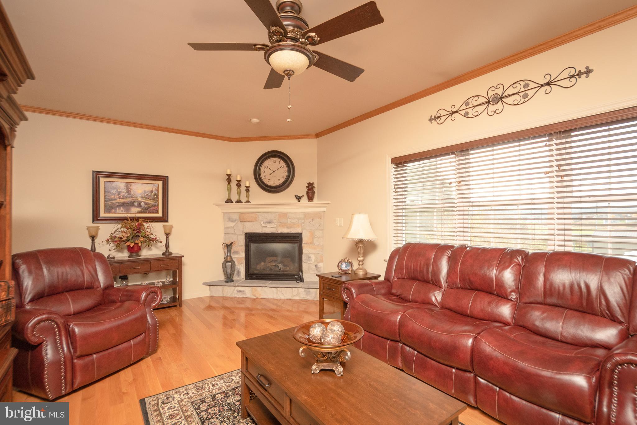223 Rock Point Road Marietta, PA 17547 - Photo 15 of 63 Family Room, with corner propane fireplace.
