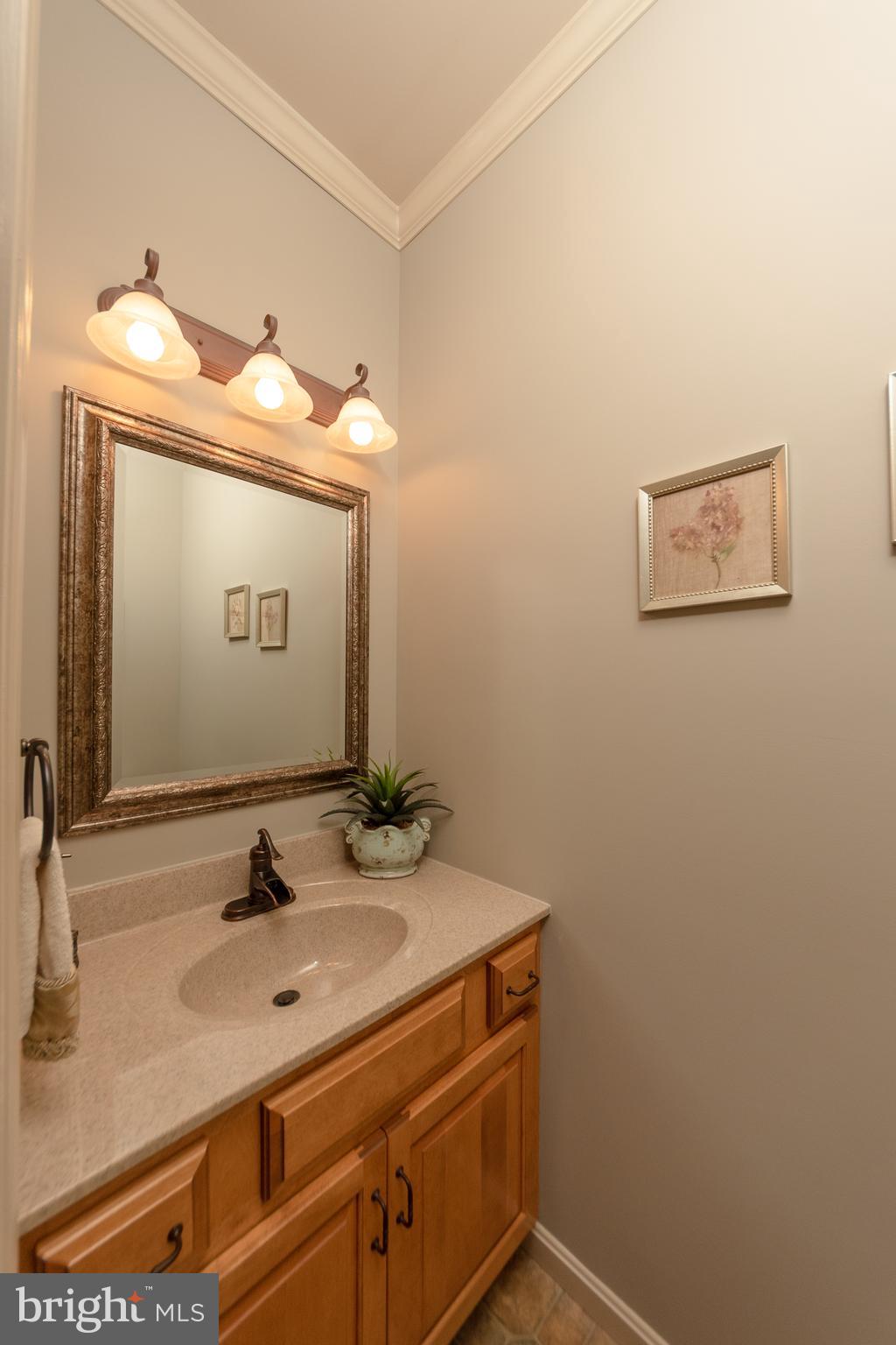 223 Rock Point Road Marietta, PA 17547 - Photo 16 of 63 Powder Room