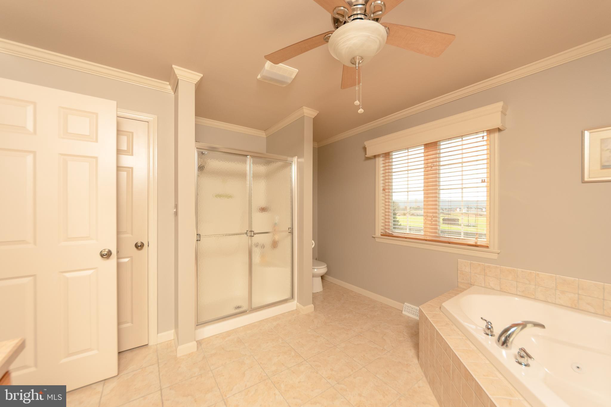 223 Rock Point Road Marietta, PA 17547 - Photo 31 of 63 Primary Bathroom shower, look out the window!