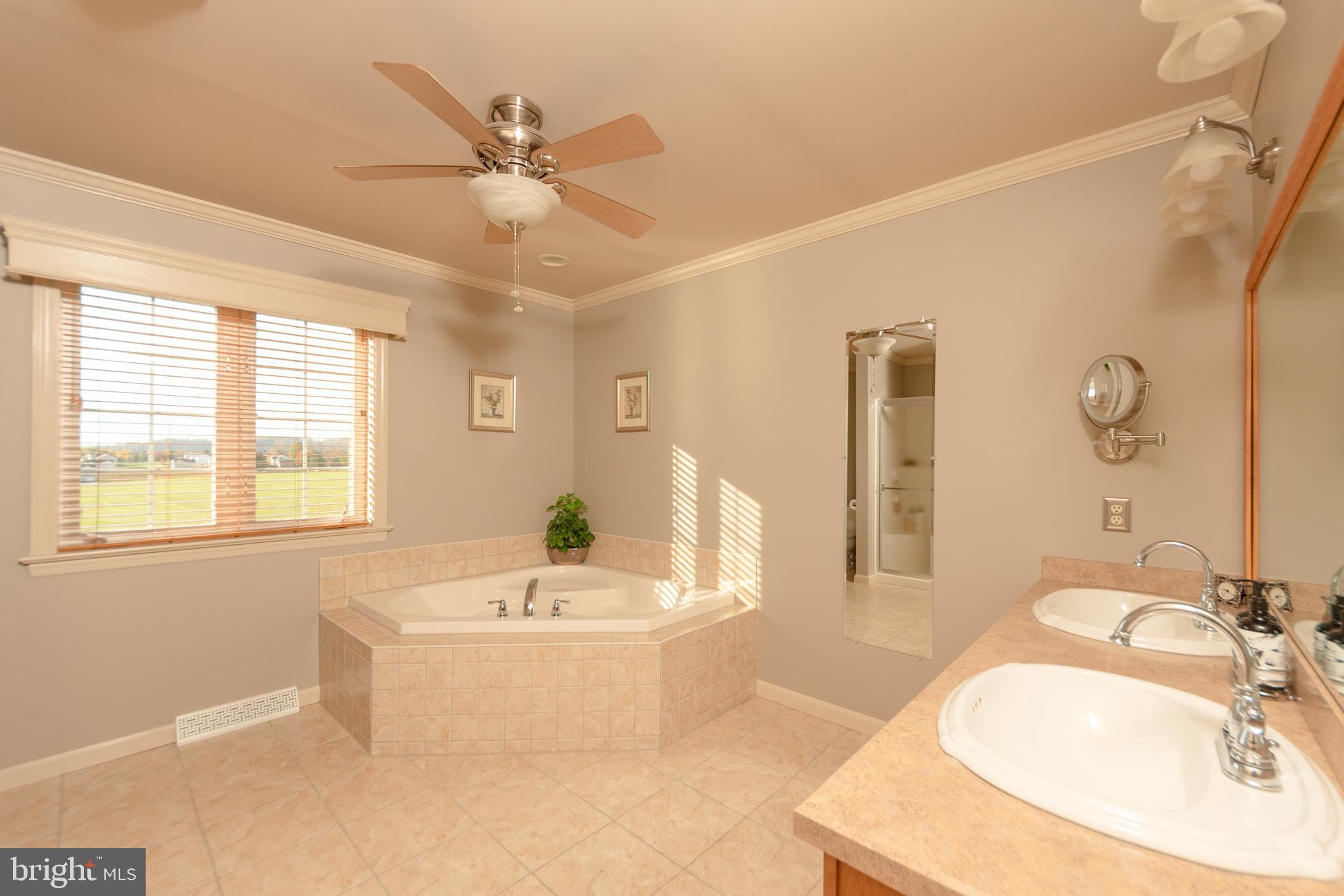 223 Rock Point Road Marietta, PA 17547 - Photo 32 of 63 Primary Bathroom jetted tub, double sinks.