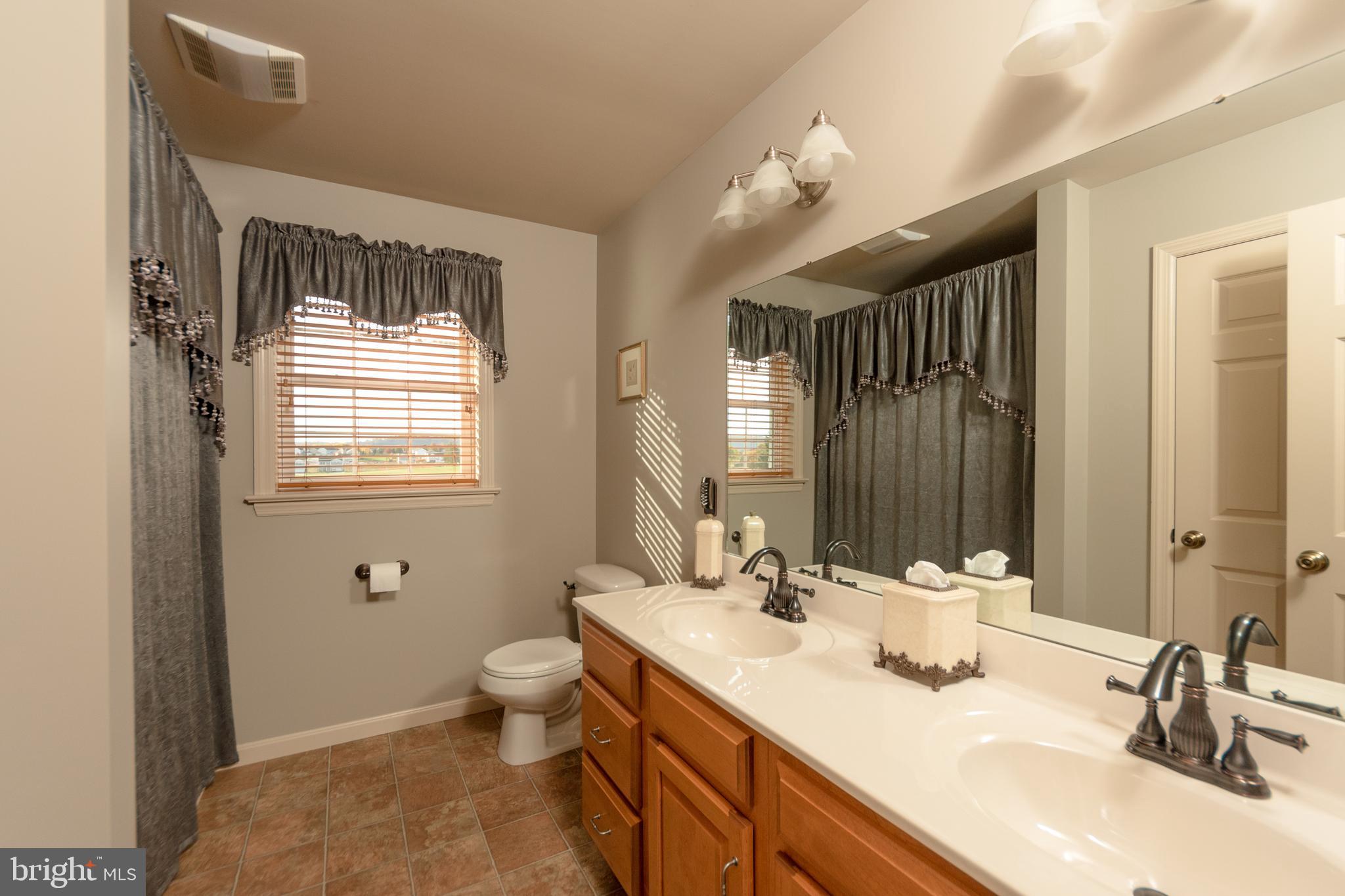 223 Rock Point Road Marietta, PA 17547 - Photo 33 of 63 Hall bath offers double sinks.