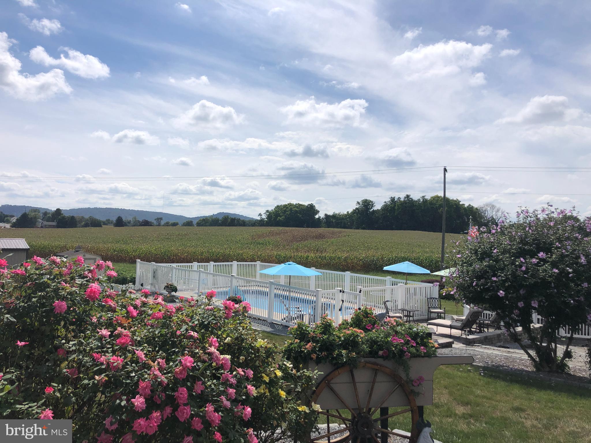 223 Rock Point Road Marietta, PA 17547 - Photo 57 of 63 Beautiful Vista!